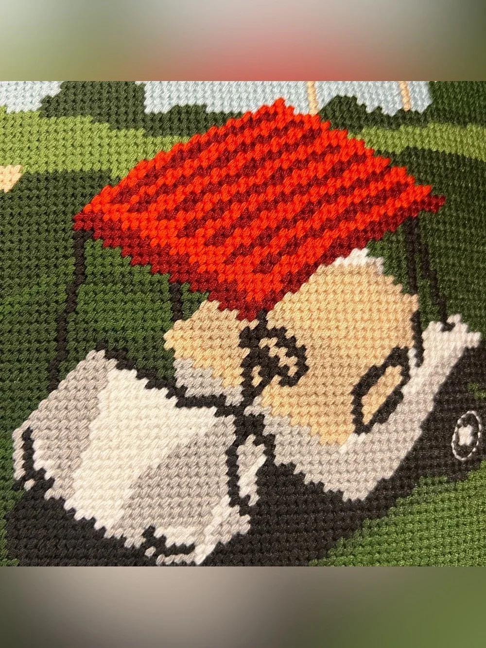 MSX Green needlepoint Golf Cart Accent Pillow Michael Strahan NWT